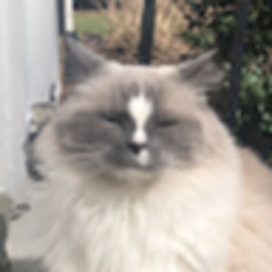 Meet your Posher, Liz